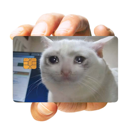 SAD CAT