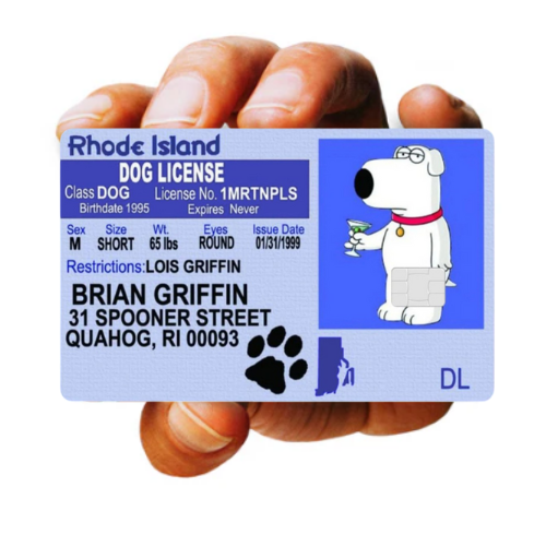 BRIAN GRIFFIN