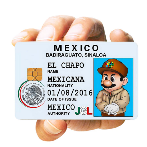 MEXICO MARIO