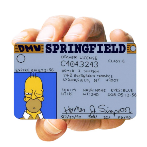 HOMER SIMPSON ID